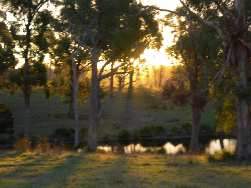 Platypus Park Country Retreat Βίλα Bridport Δωμάτιο φωτογραφία