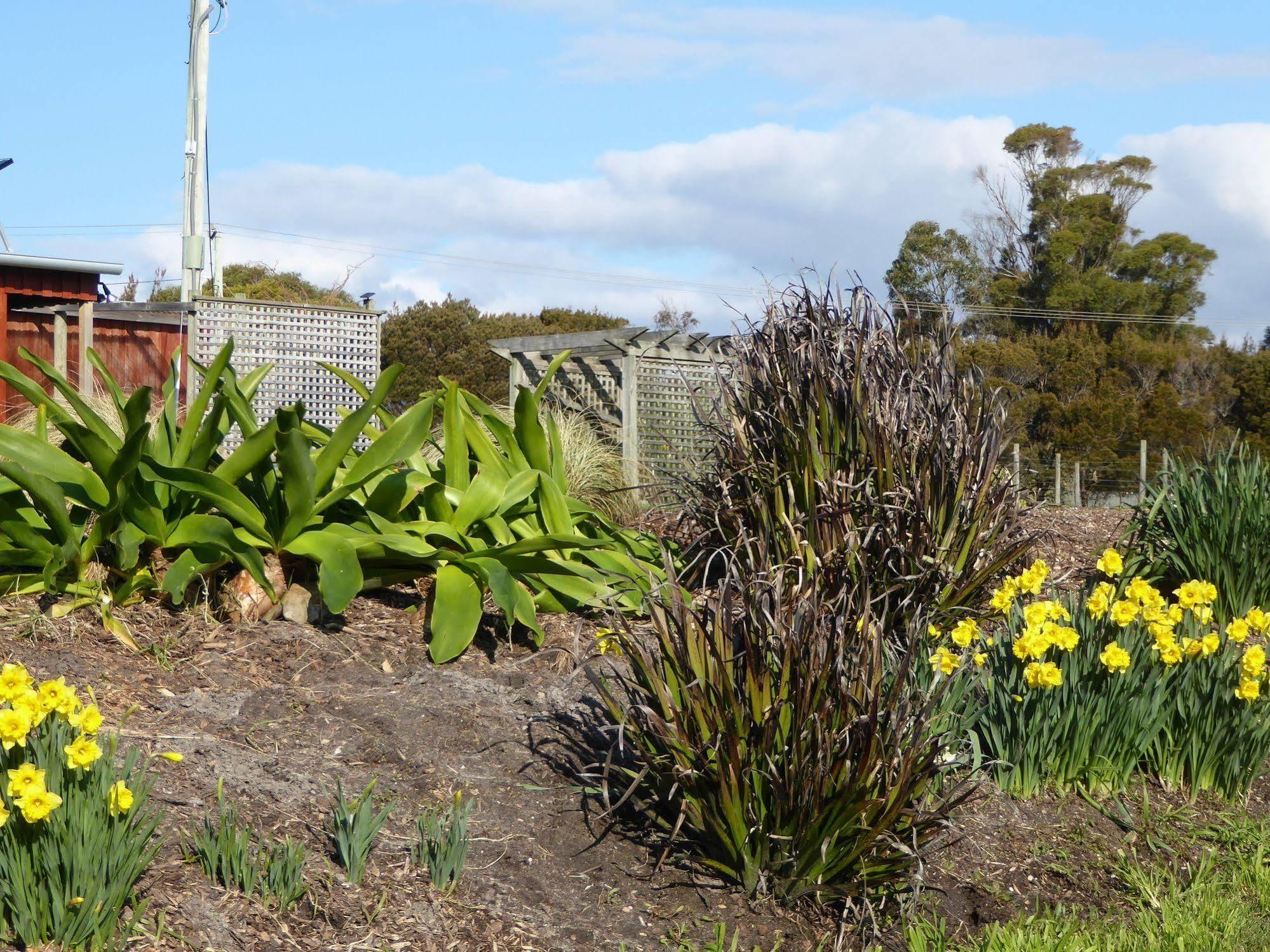 Platypus Park Country Retreat Βίλα Bridport Εξωτερικό φωτογραφία